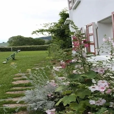House Martin Holiday home